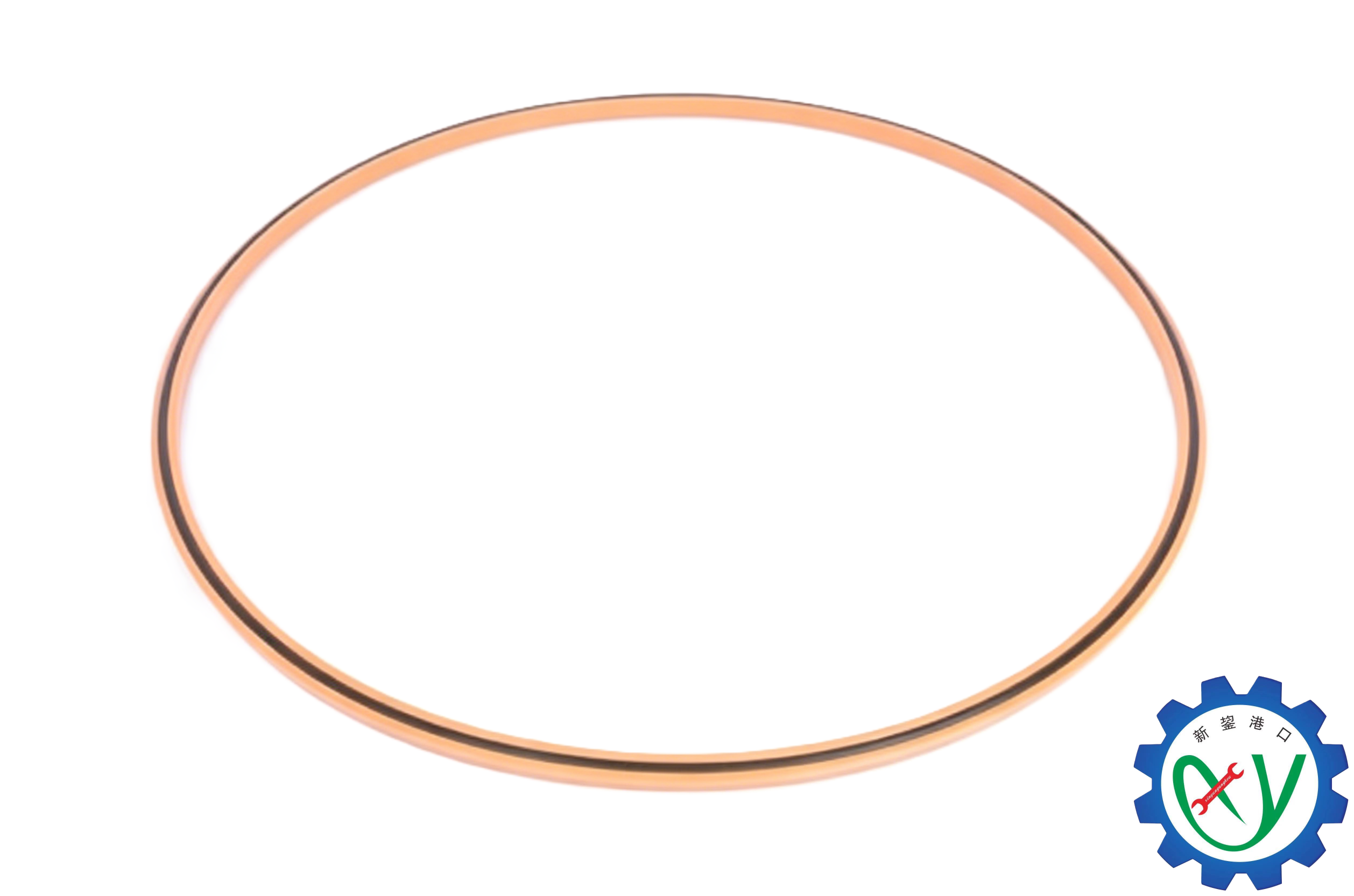 923944.2852 OIL SEAL